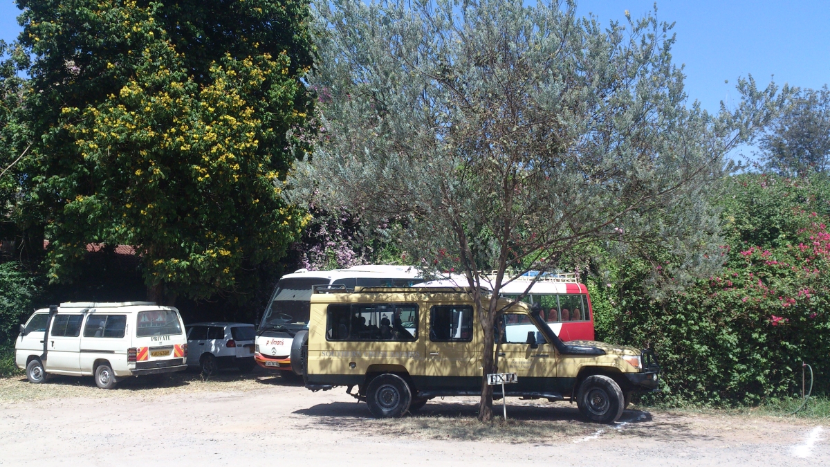 Toyota Safari 