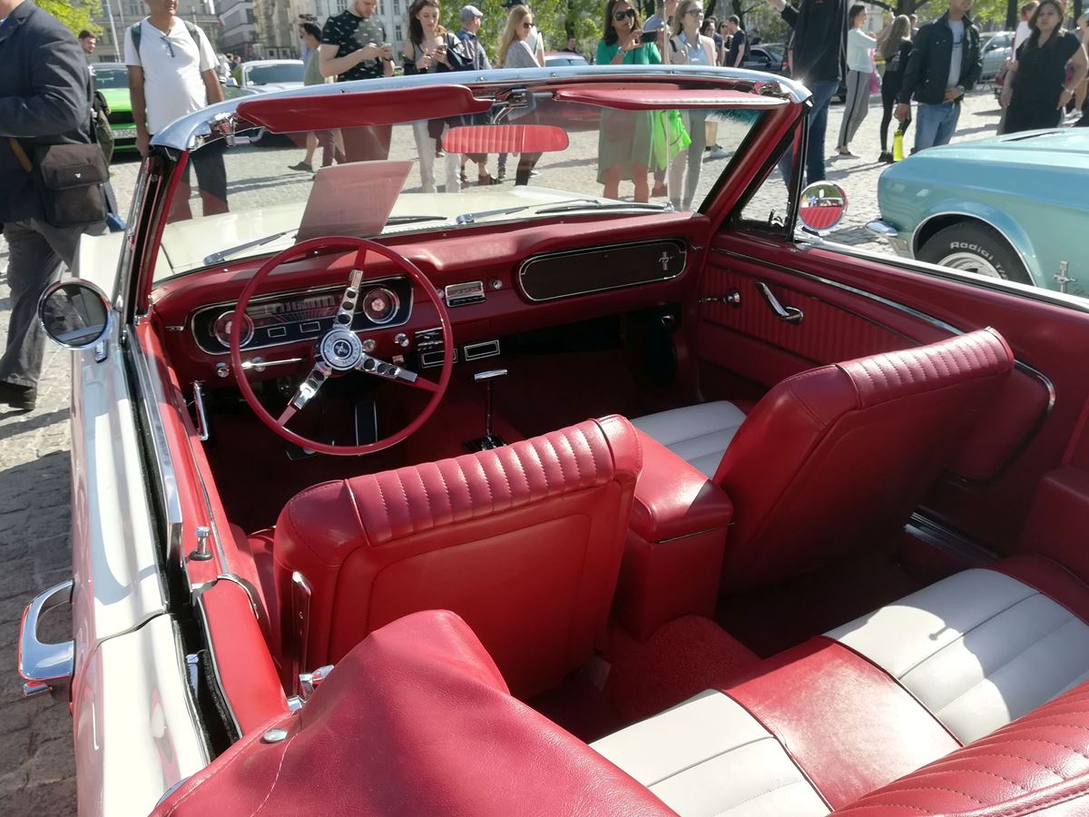 Mustang-Zlot-17