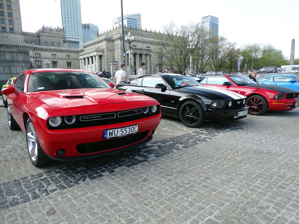 Mustang-Zlot-12