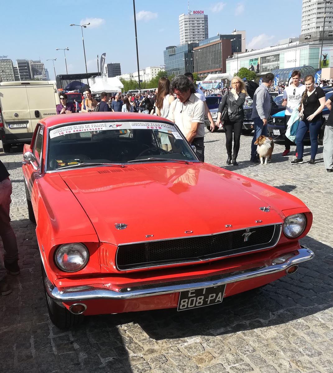 Mustang-Zlot-18