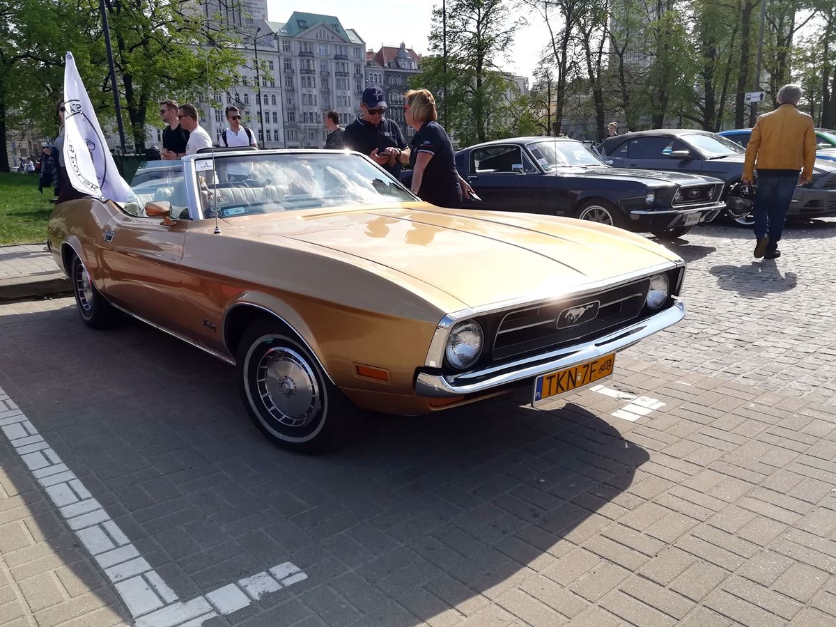 Mustang-Zlot-5
