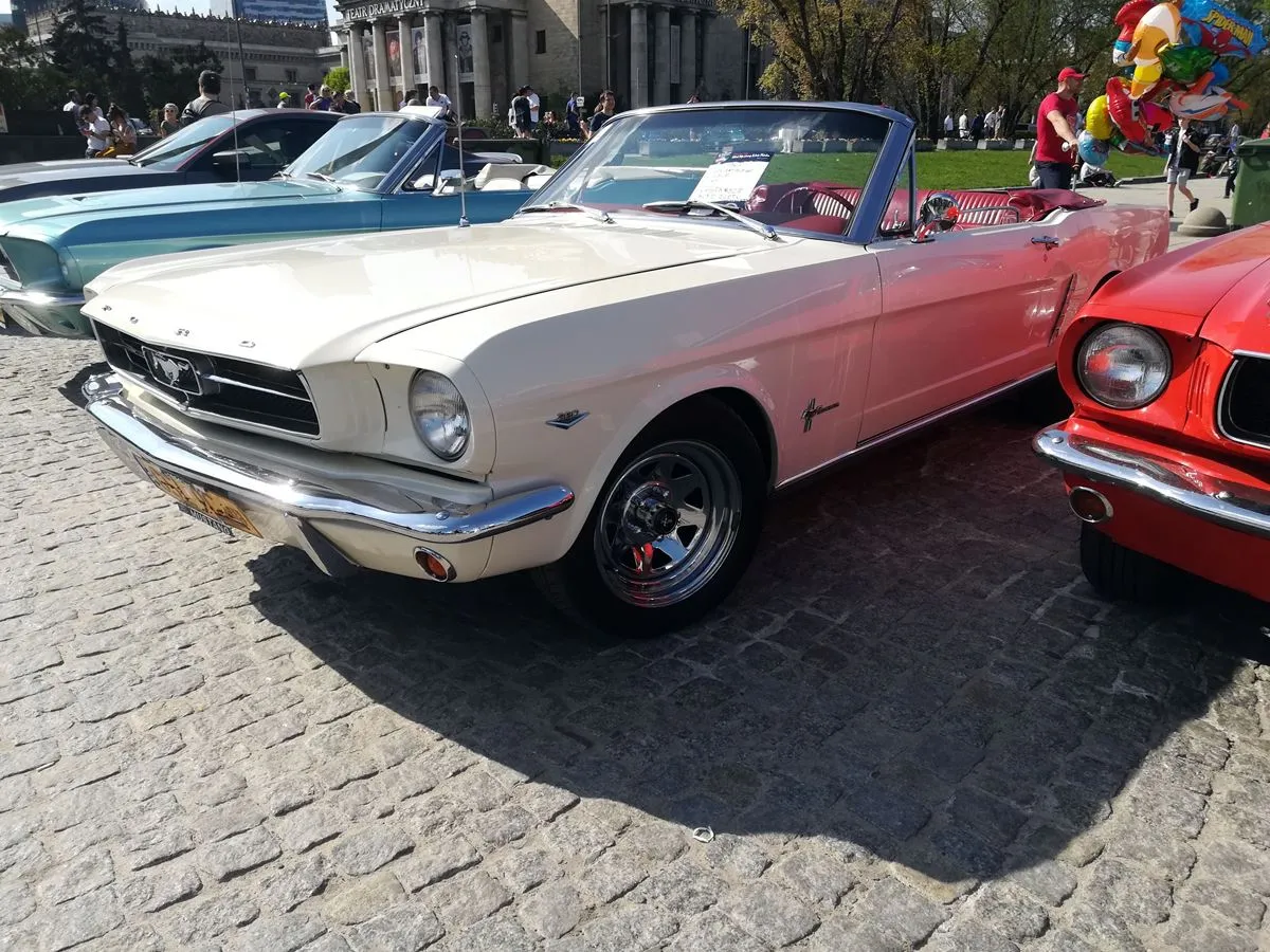 Mustang-Zlot-15