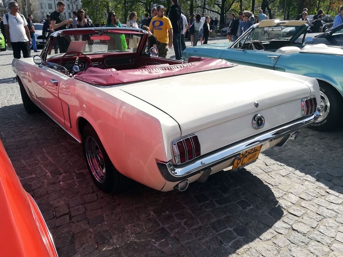 Mustang-Zlot-16
