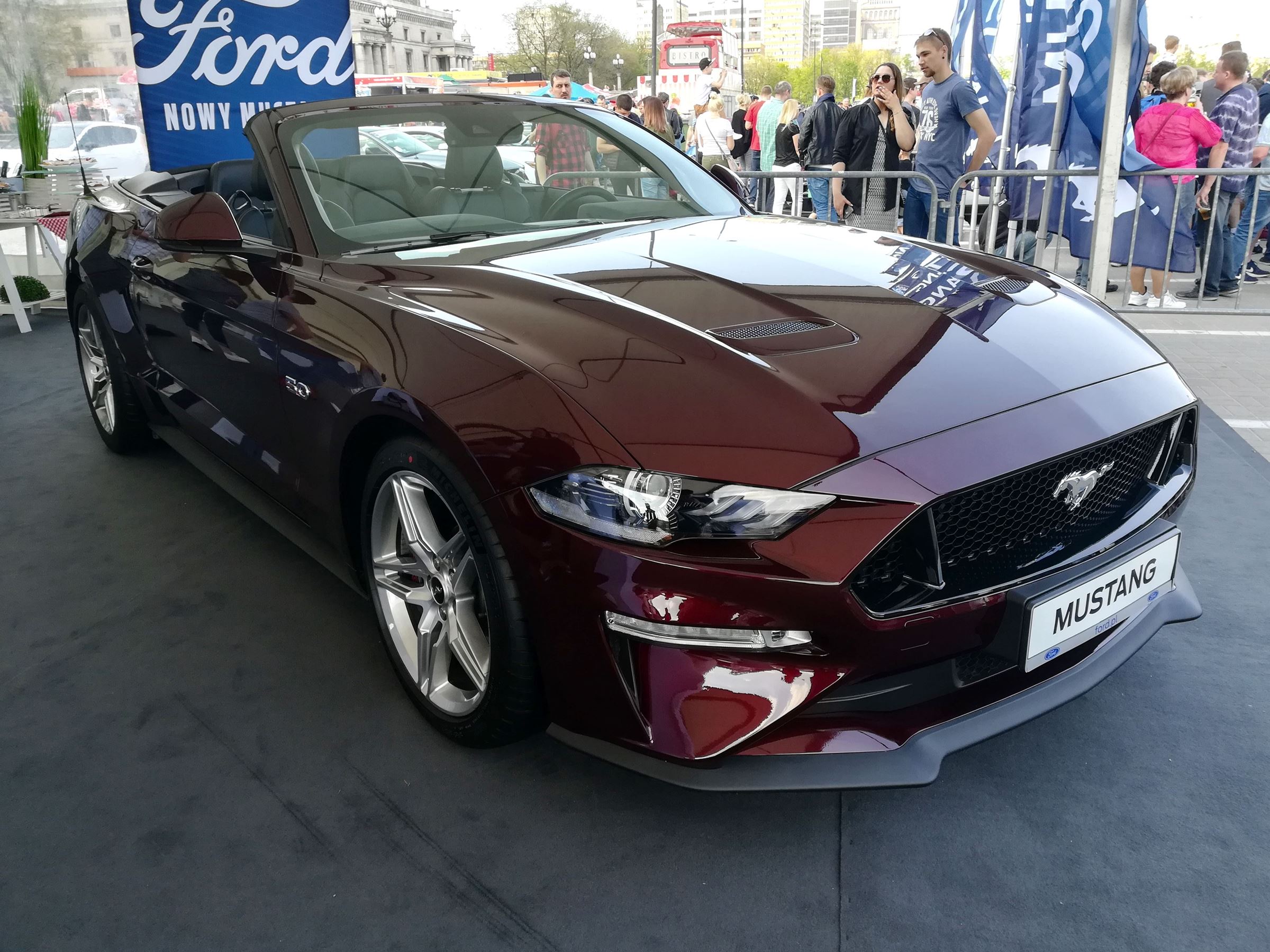Mustang-Zlot-1