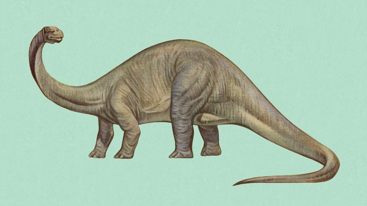 Brontozaur