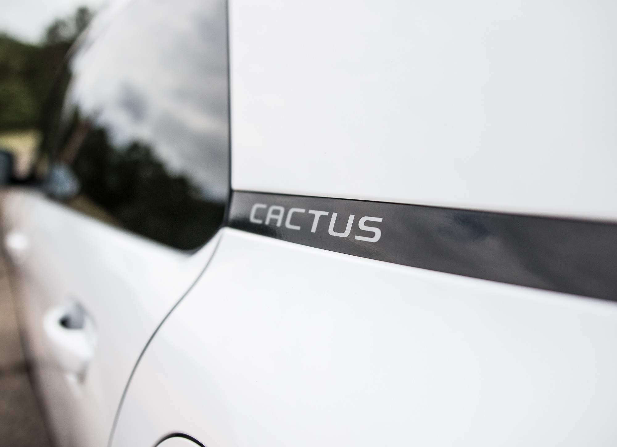 ford-ecosport-citroen-c4-cactus-porownanie-9 