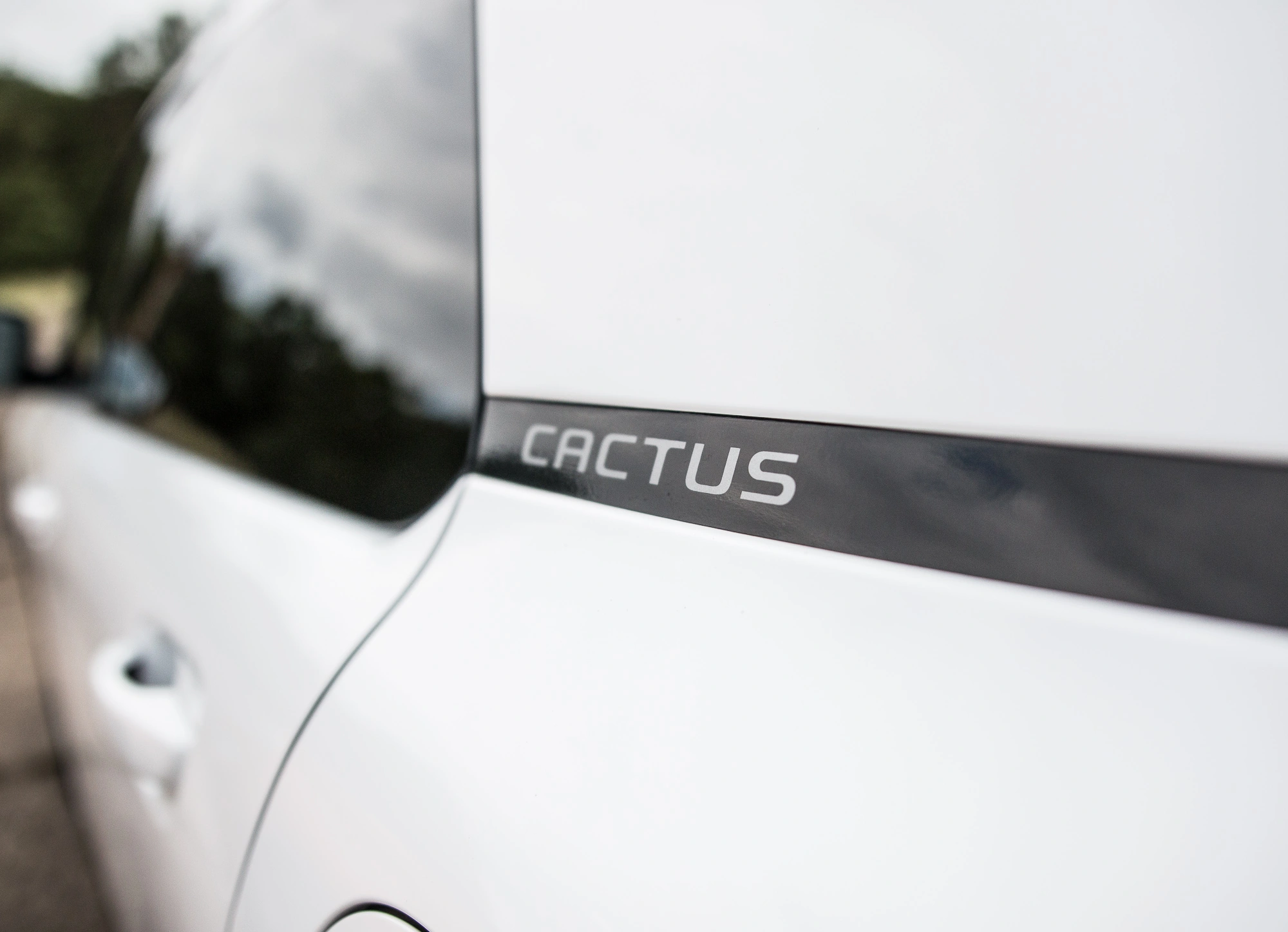 ford-ecosport-citroen-c4-cactus-porownanie-9