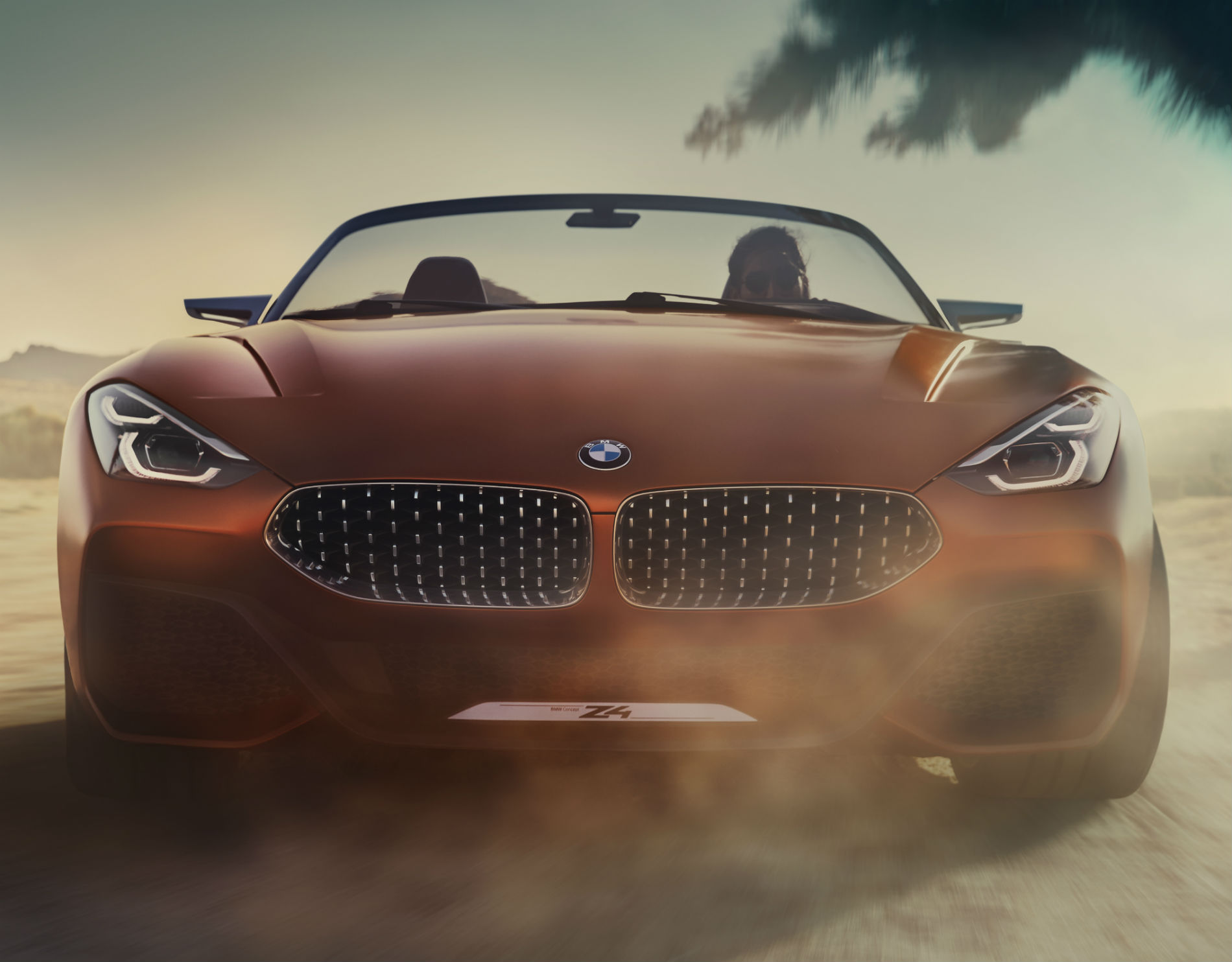 BMW Z4 Concept 