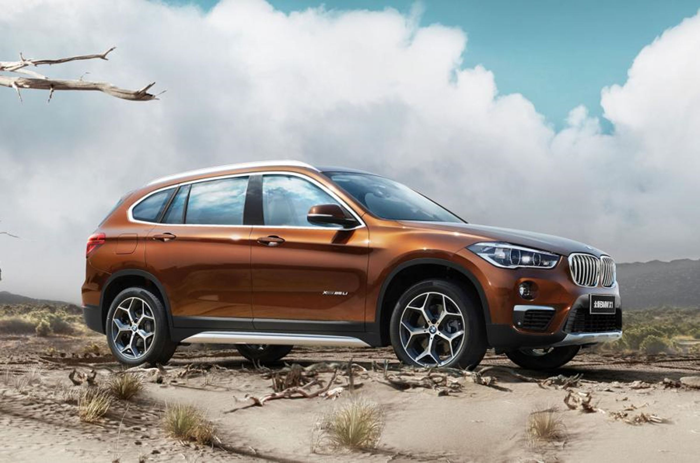 BMW X1 Li