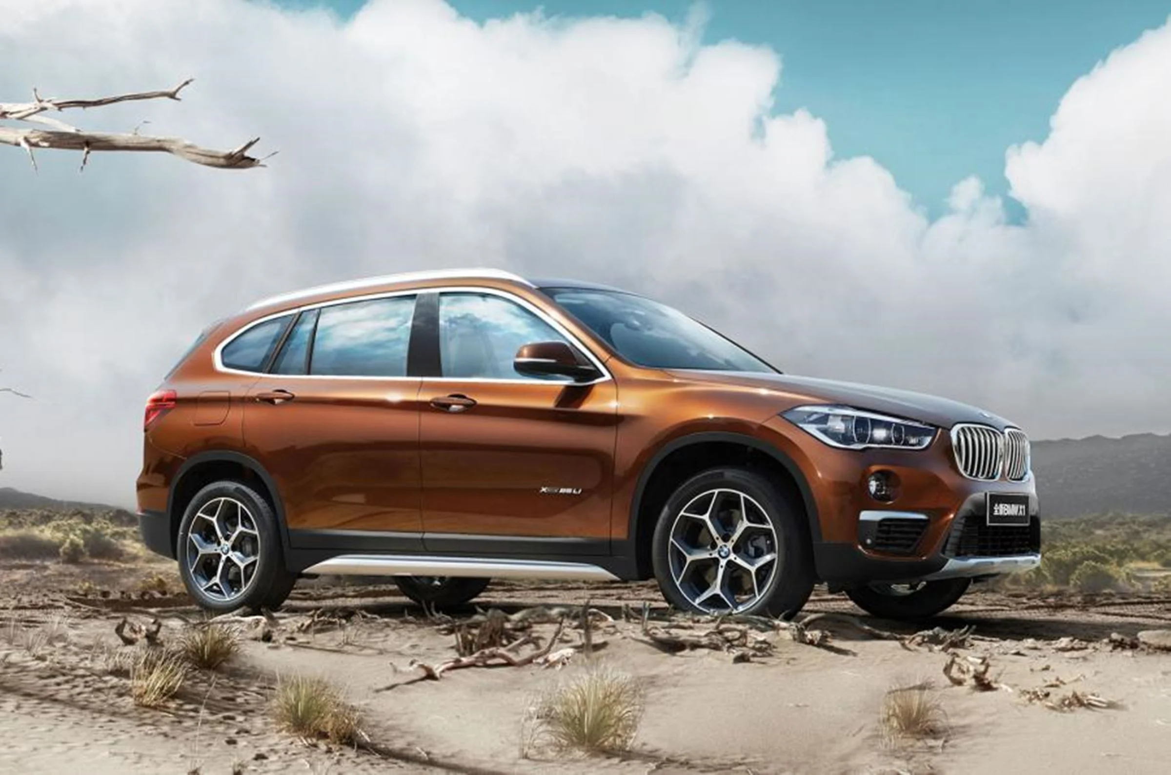 BMW X1 Li 