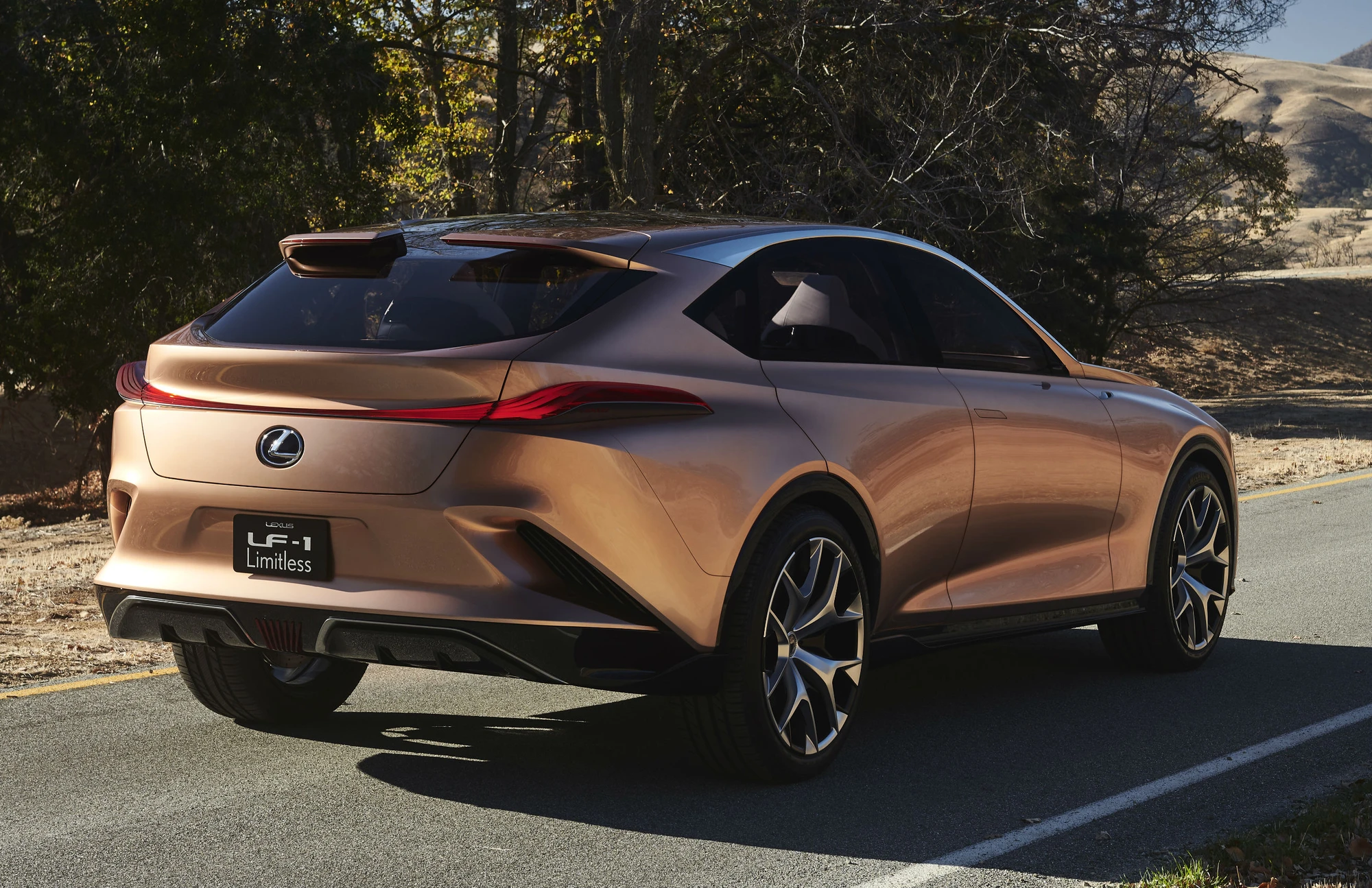 Lexus LQ 