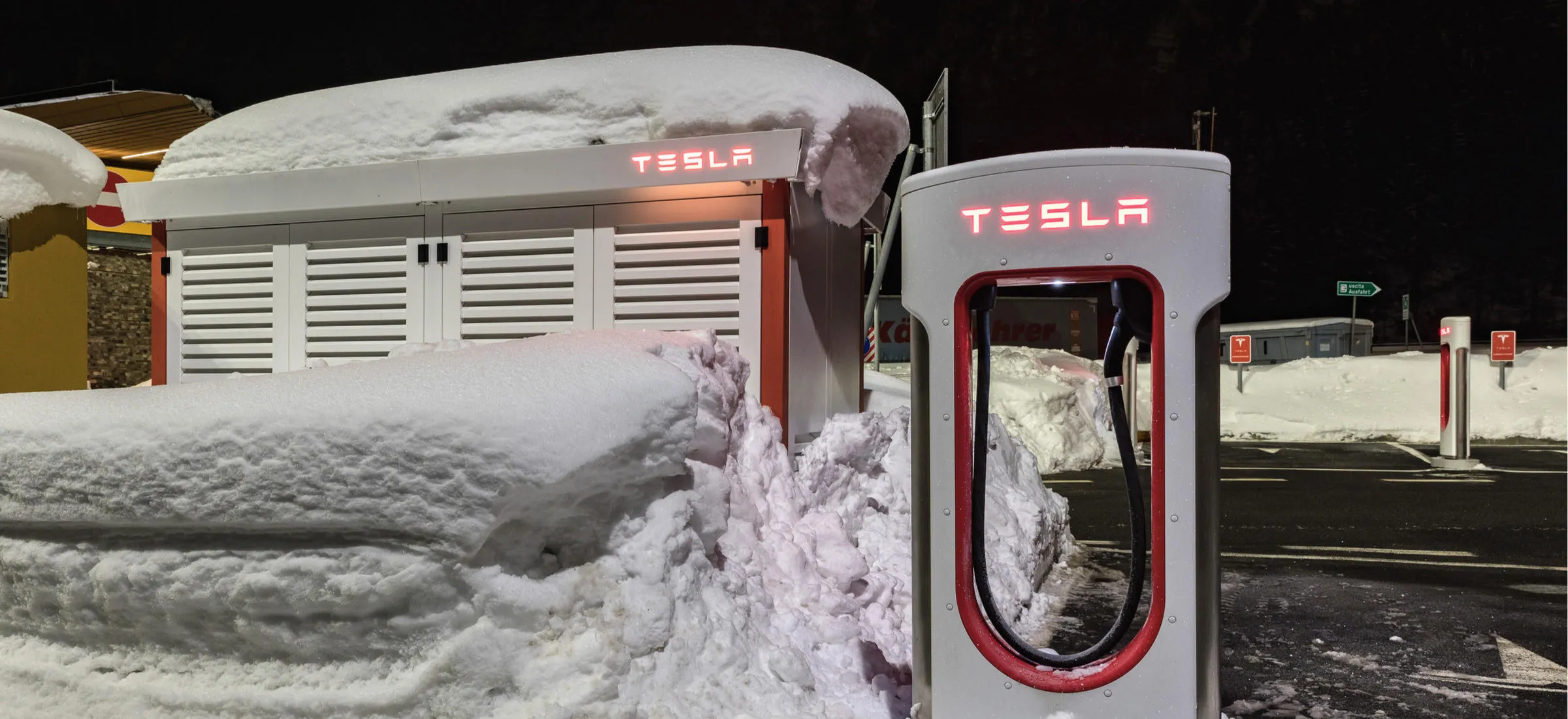 tesla-zima