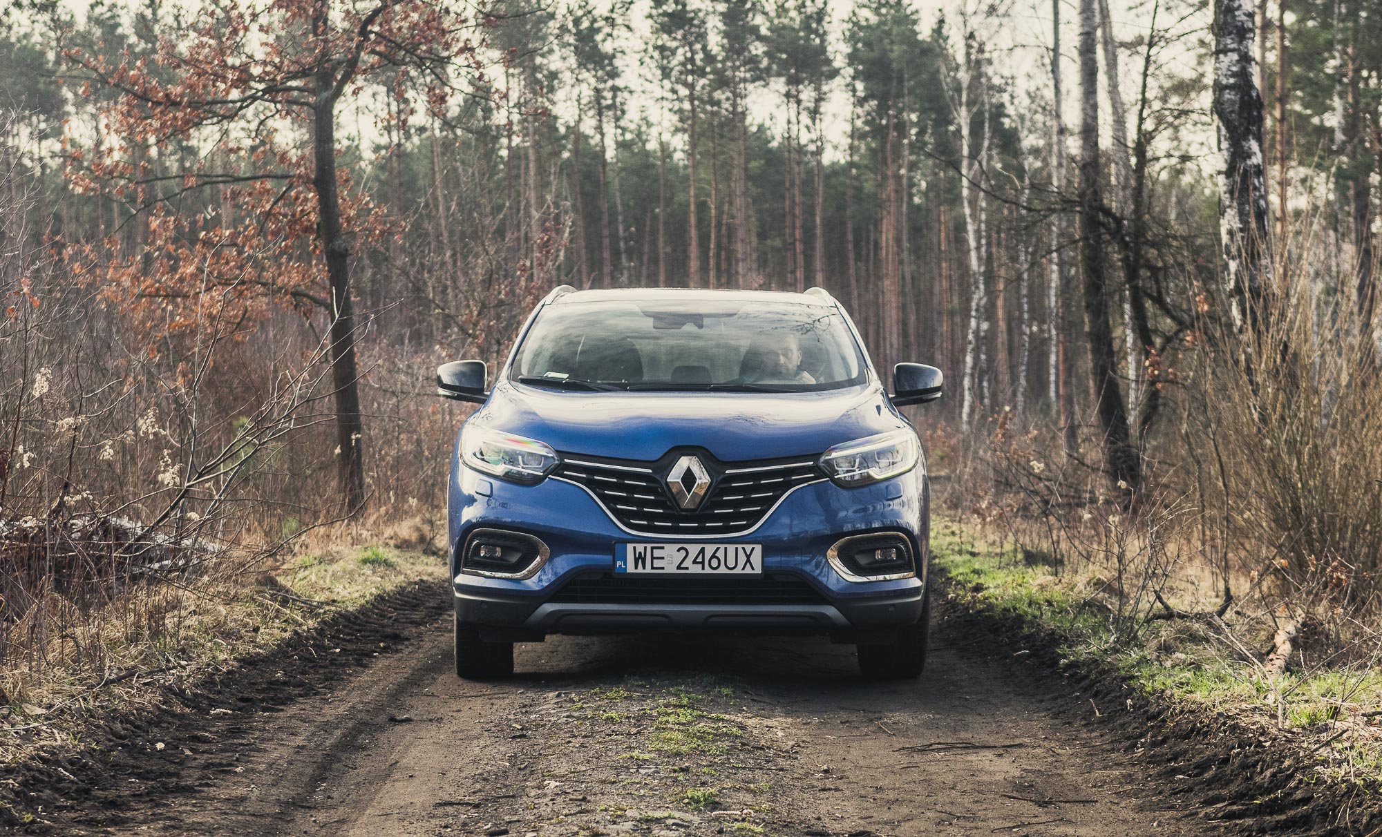 Renault Kadjar 2019 test 