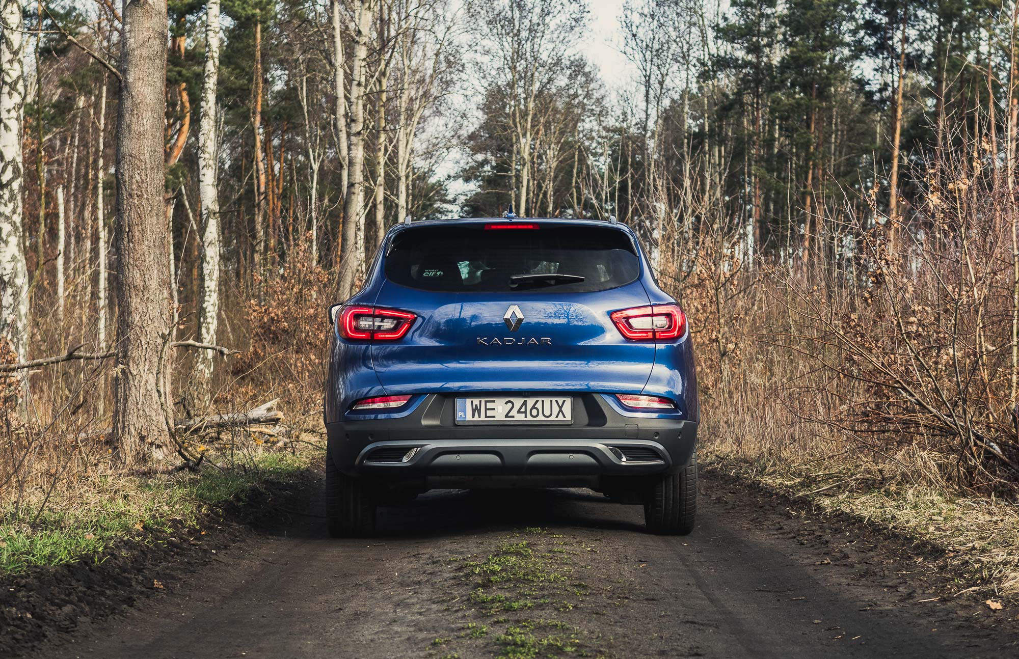 Renault Kadjar 2019 test 