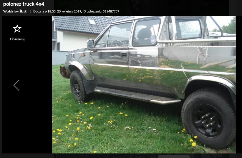 polonez analog na sprzedaż 