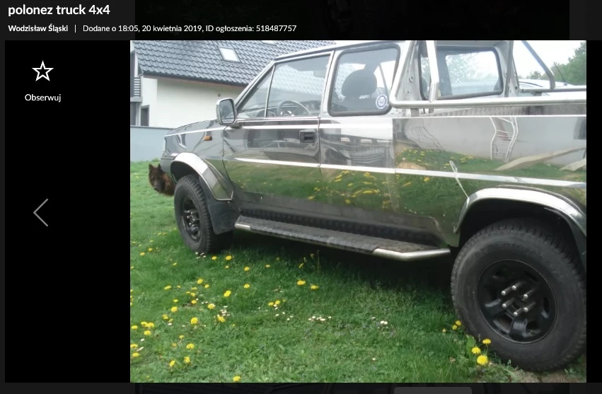 polonez analog na sprzedaż