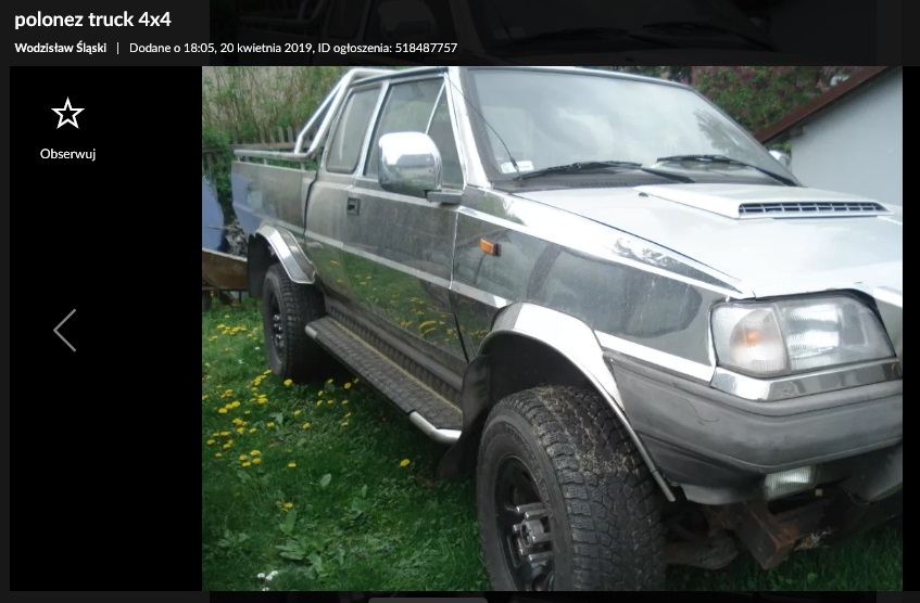 polonez analog na sprzedaż 