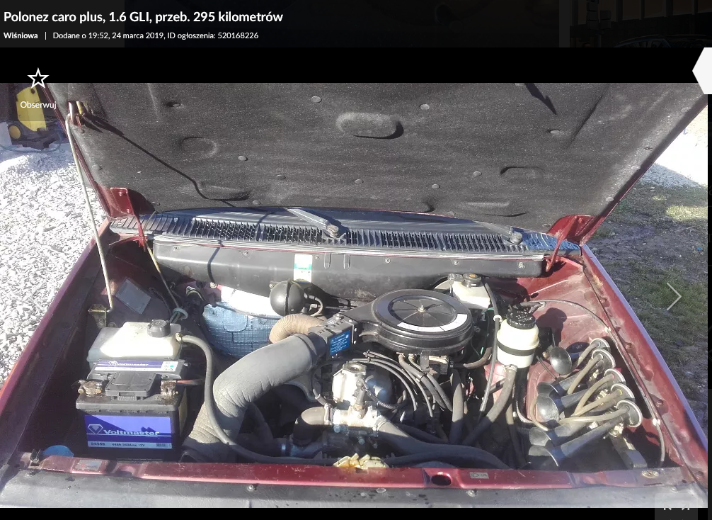 polonez caro plus 