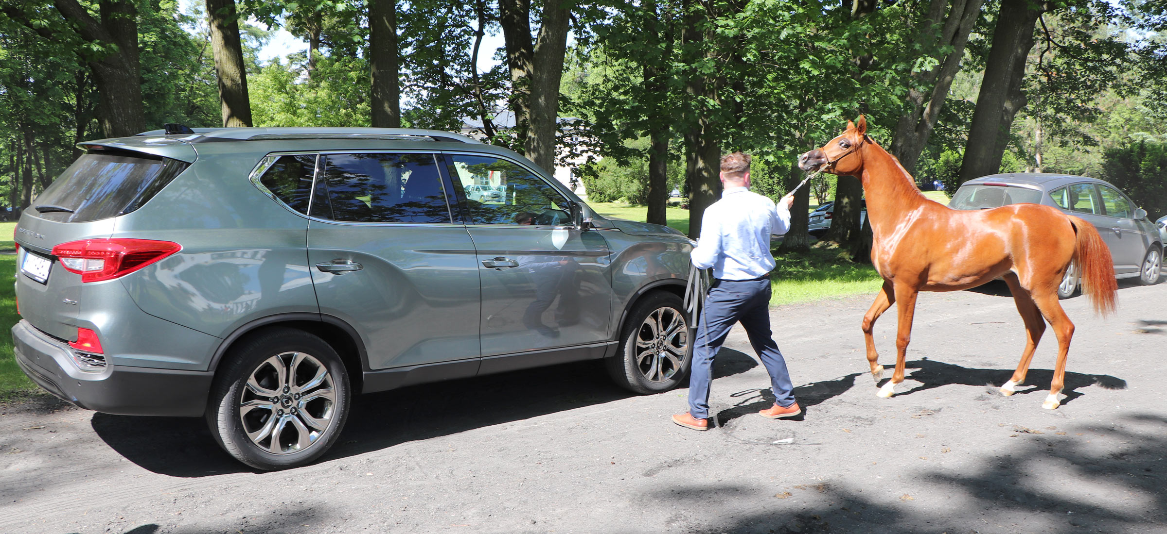 ssangyong rexton test 2019