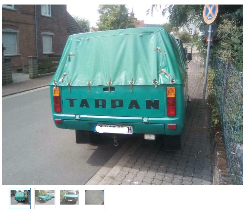 tarpan na sprzedaż 