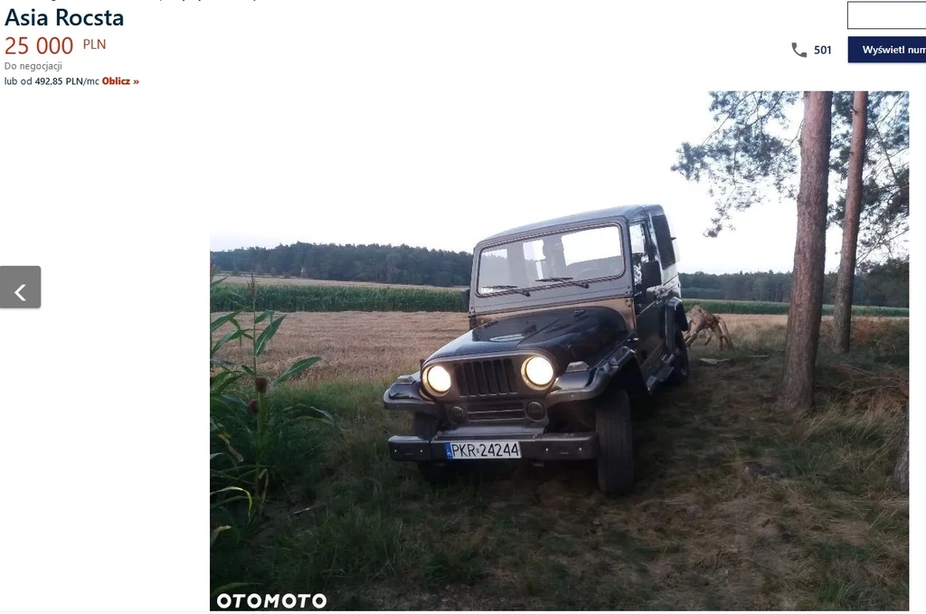 asia rocsta jeep na sprzedaż 