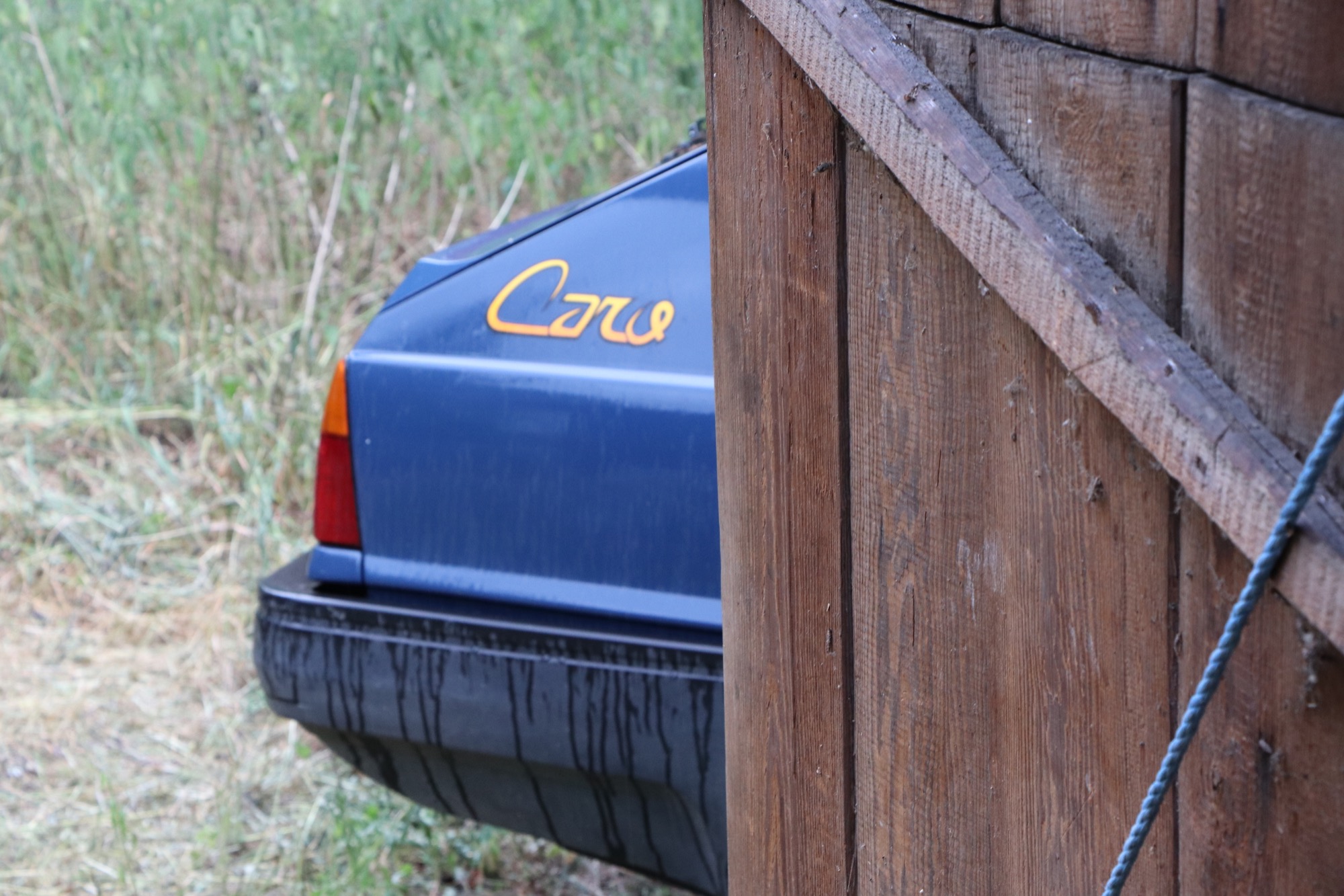 polonez caro
