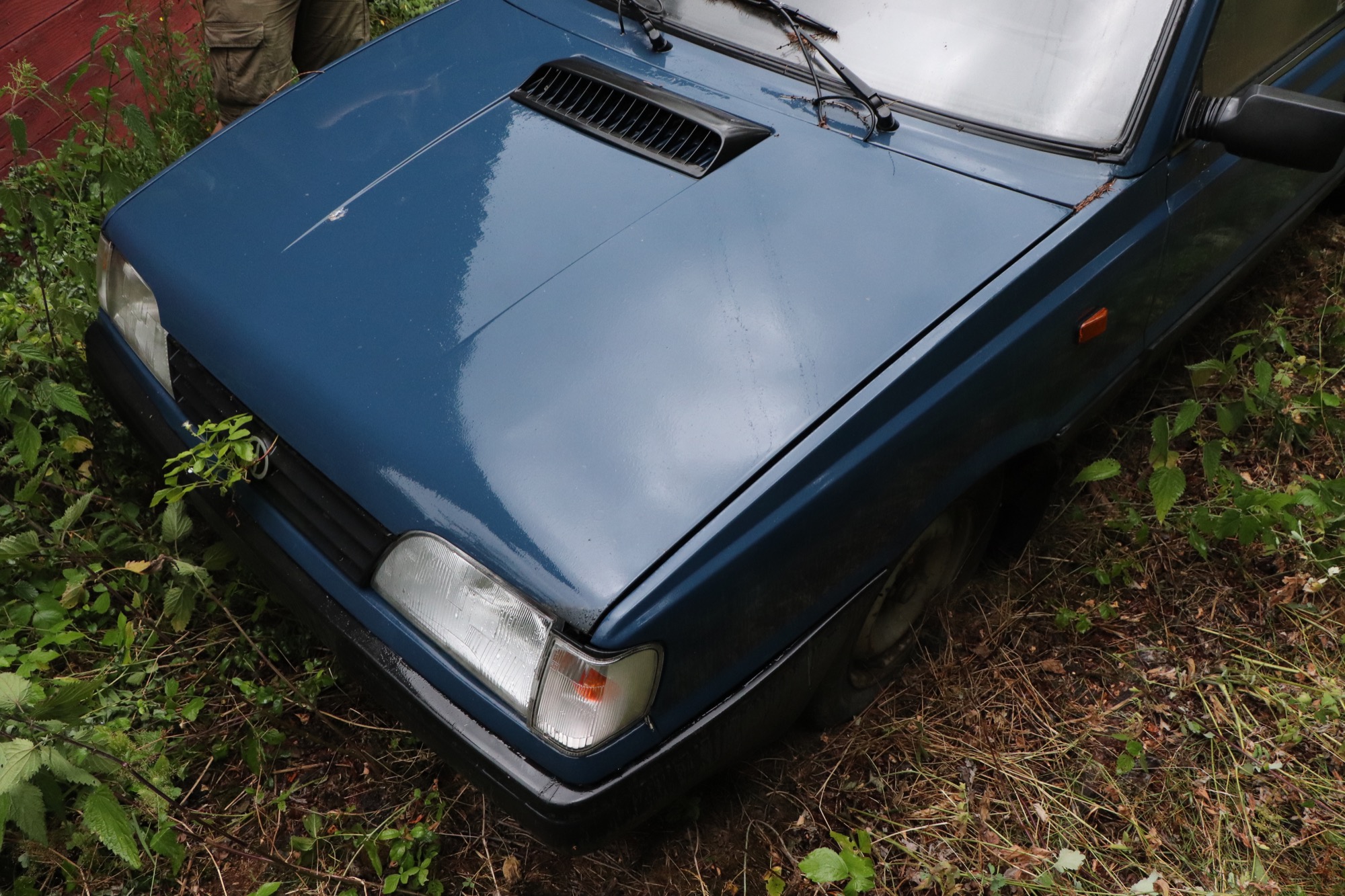 polonez caro 