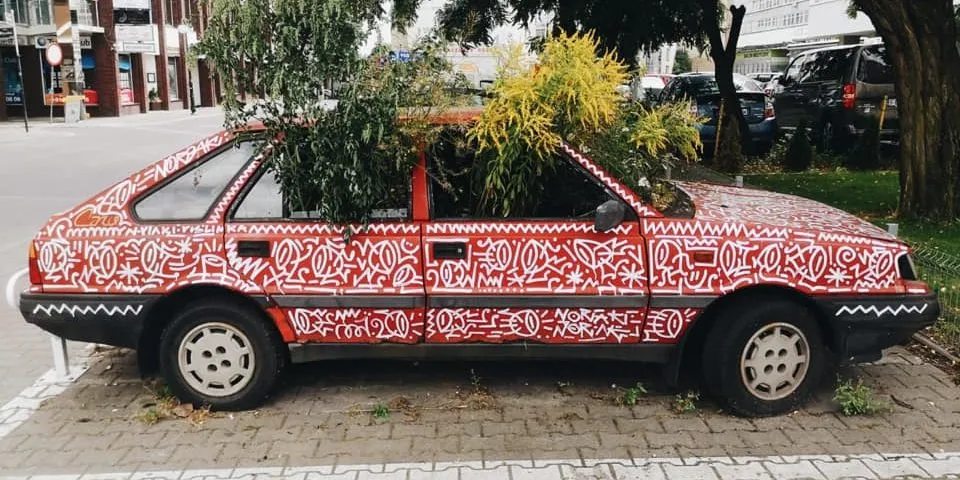 Polonez donica Poznań