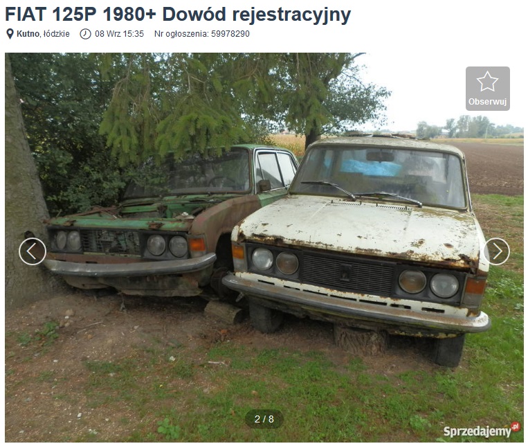 jak urządzić ogród 
