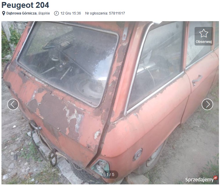 jak urządzić ogród 