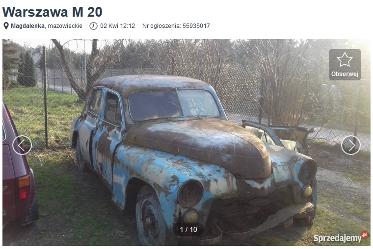 jak urządzić ogród 