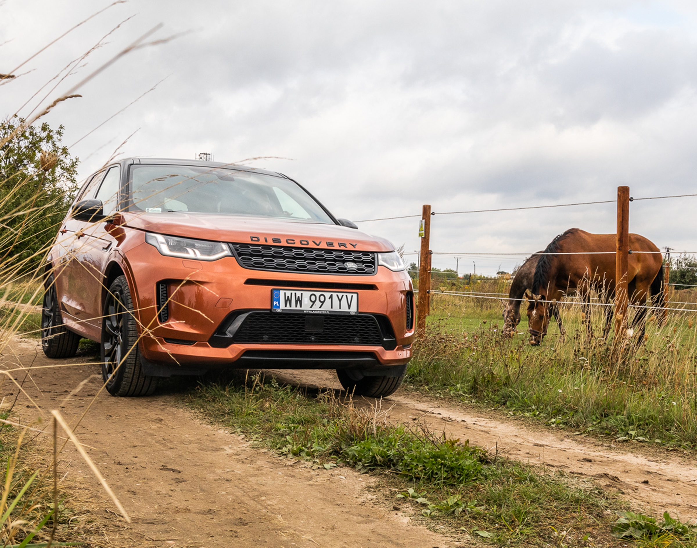 Land Rover Discovery Sport 2019 test 