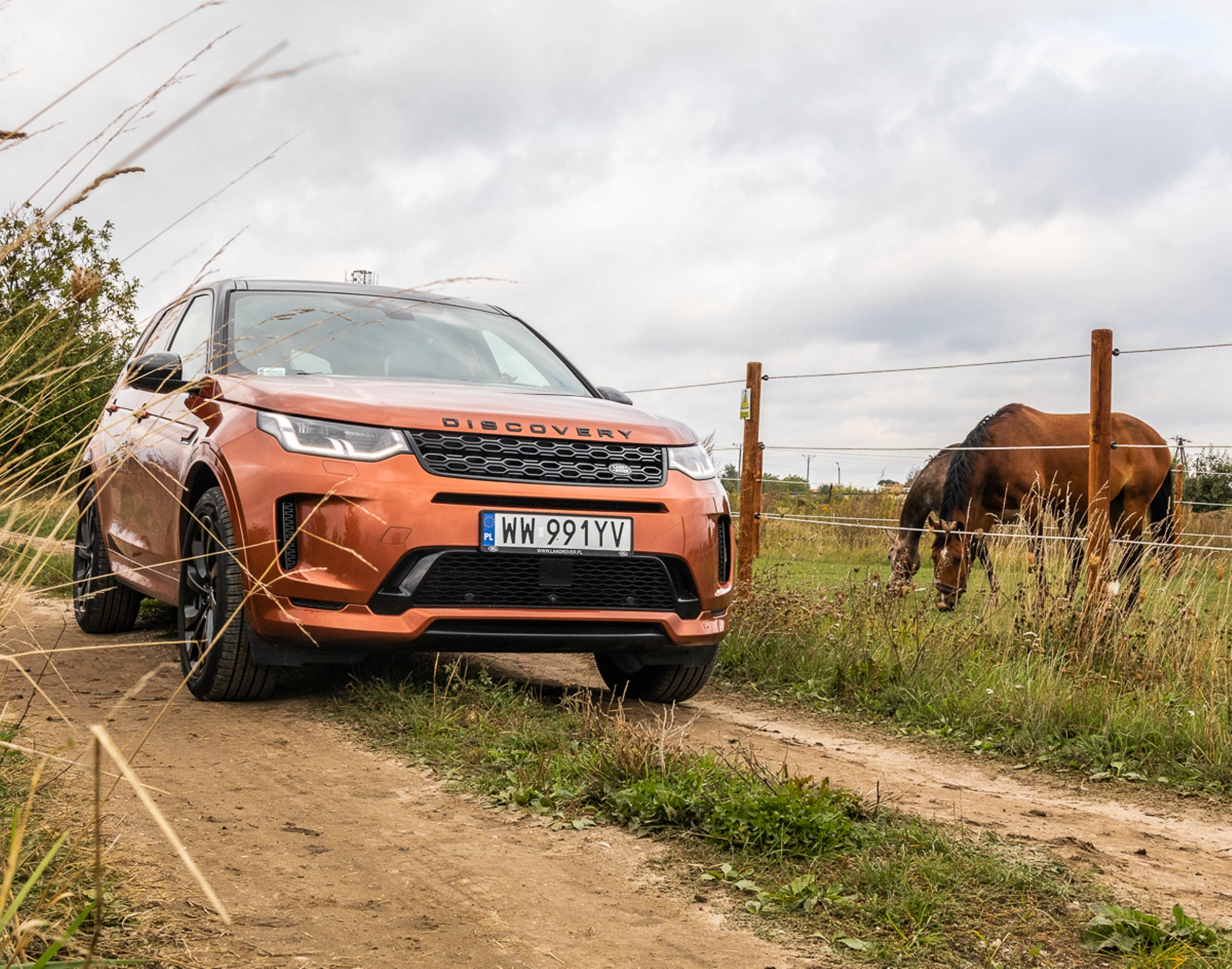 Land Rover Discovery Sport 2019 test 