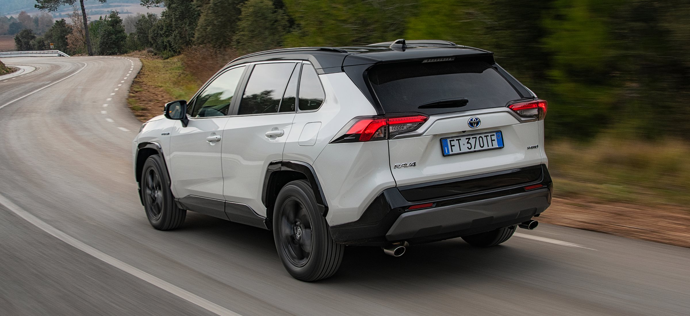 Toyota RAV4 test łosia