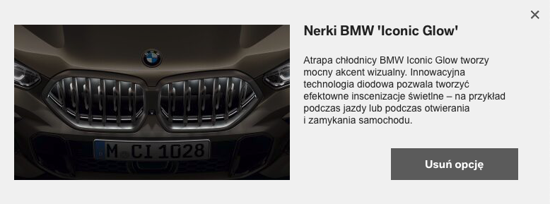 bmw x6 2019 cena 