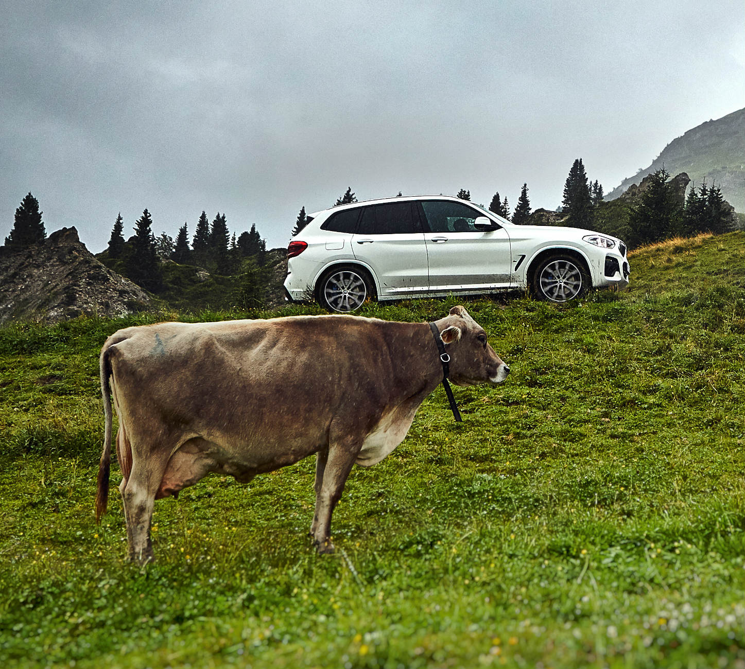 BMW X3 xDrive30e 