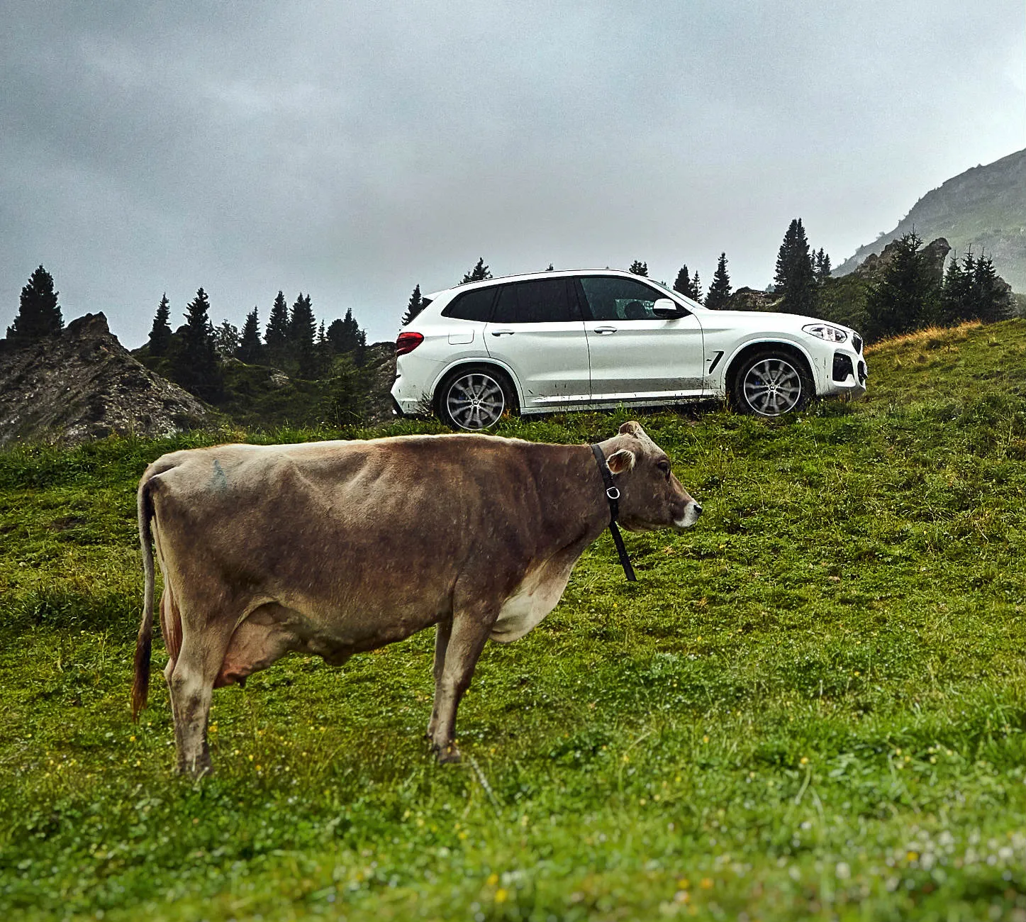 BMW X3 xDrive30e