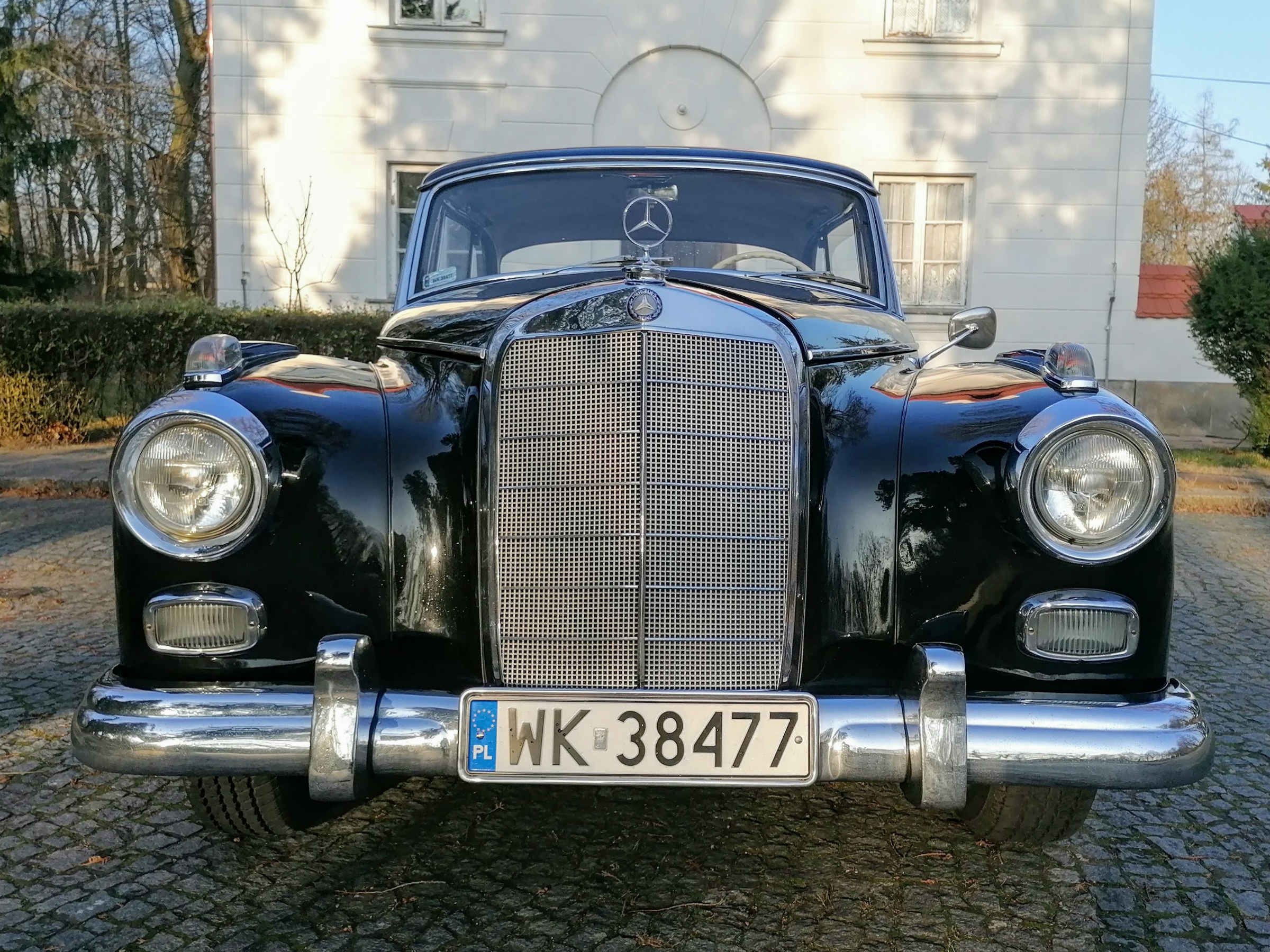 Mercedes Adenauer 