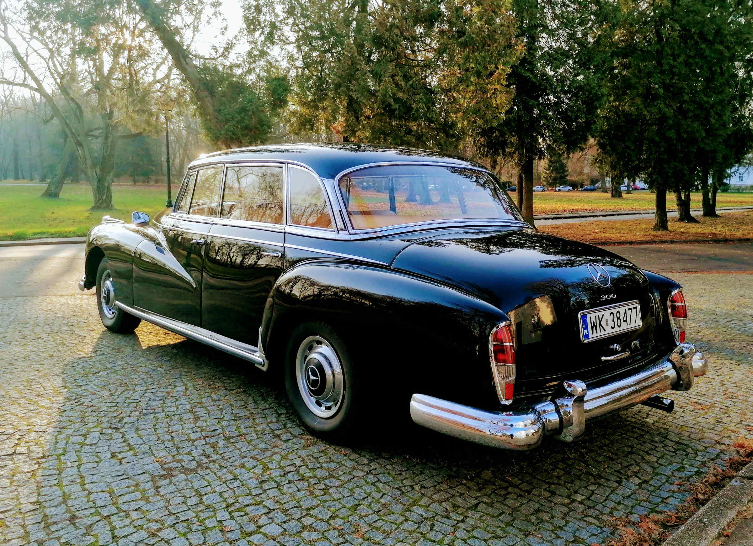 Mercedes Adenauer 