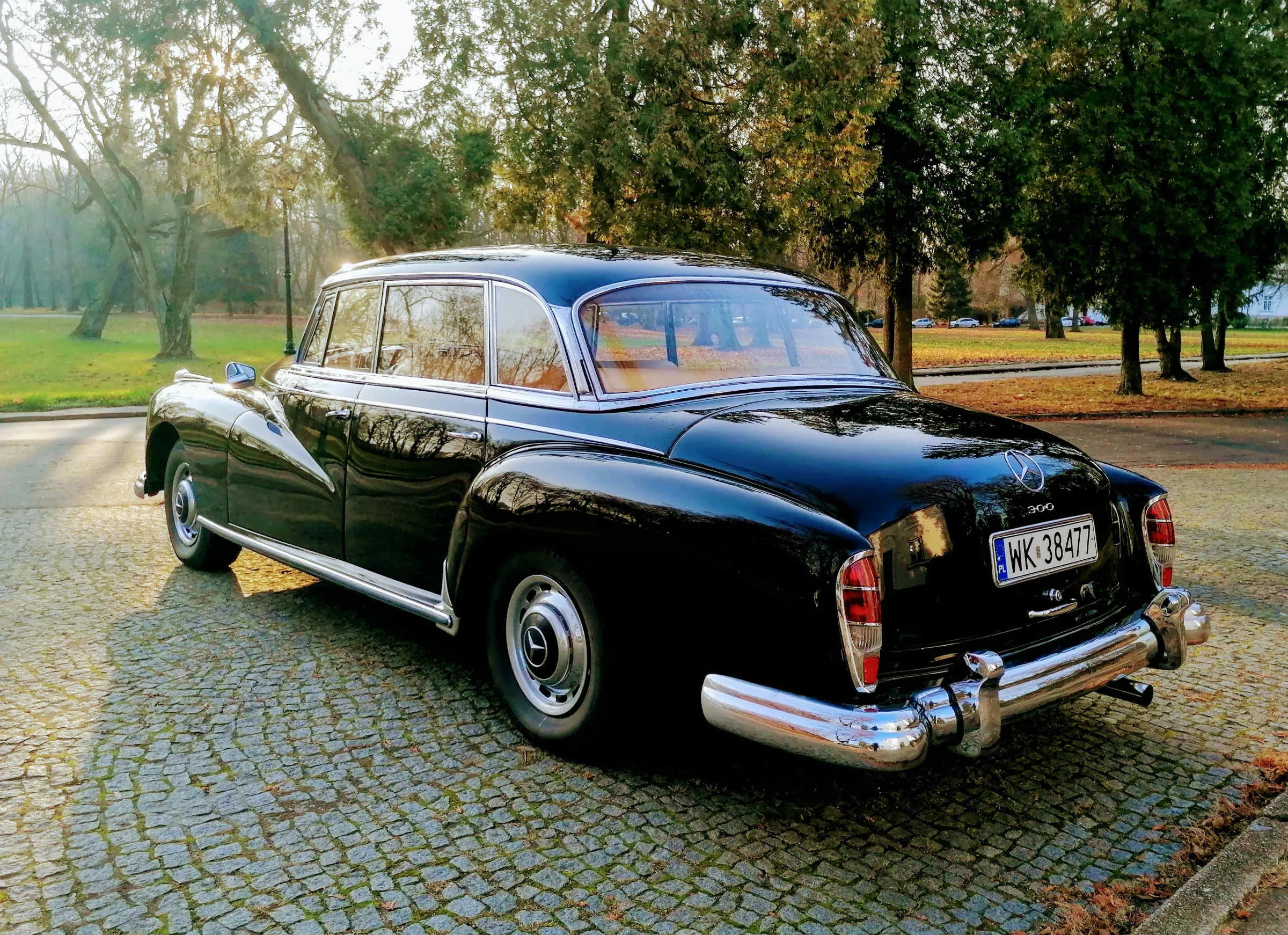 Mercedes Adenauer 
