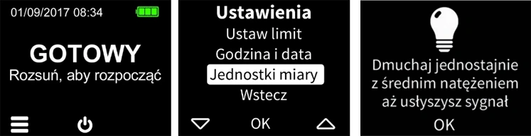 internetowy alkomat test
