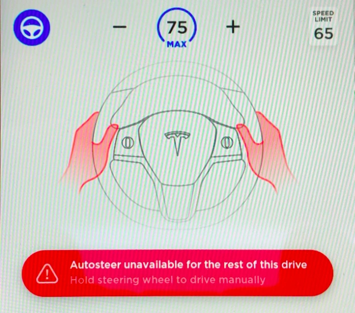 tesla autopilot jak działa