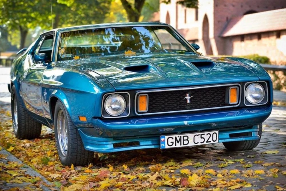 ford mustang klasyczny olx 
