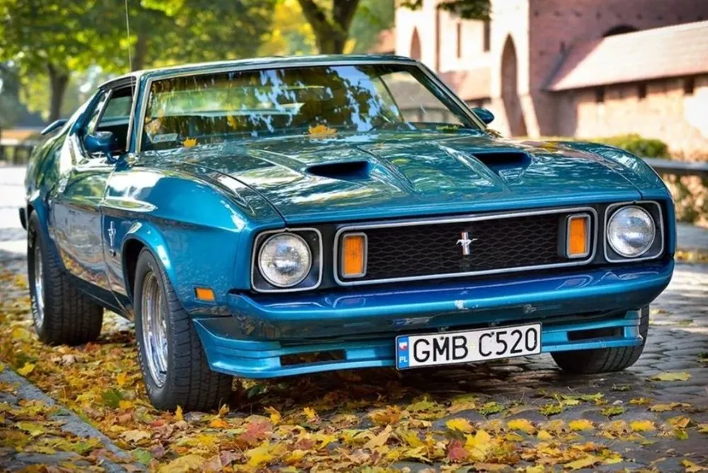 ford mustang klasyczny olx 