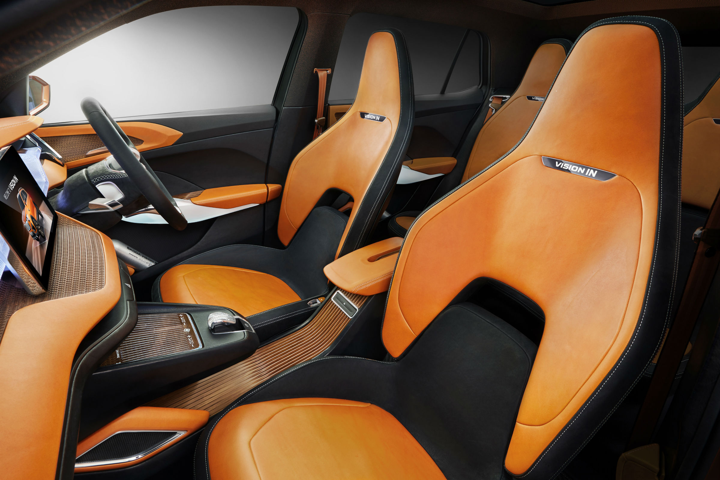 Skoda Vision In 