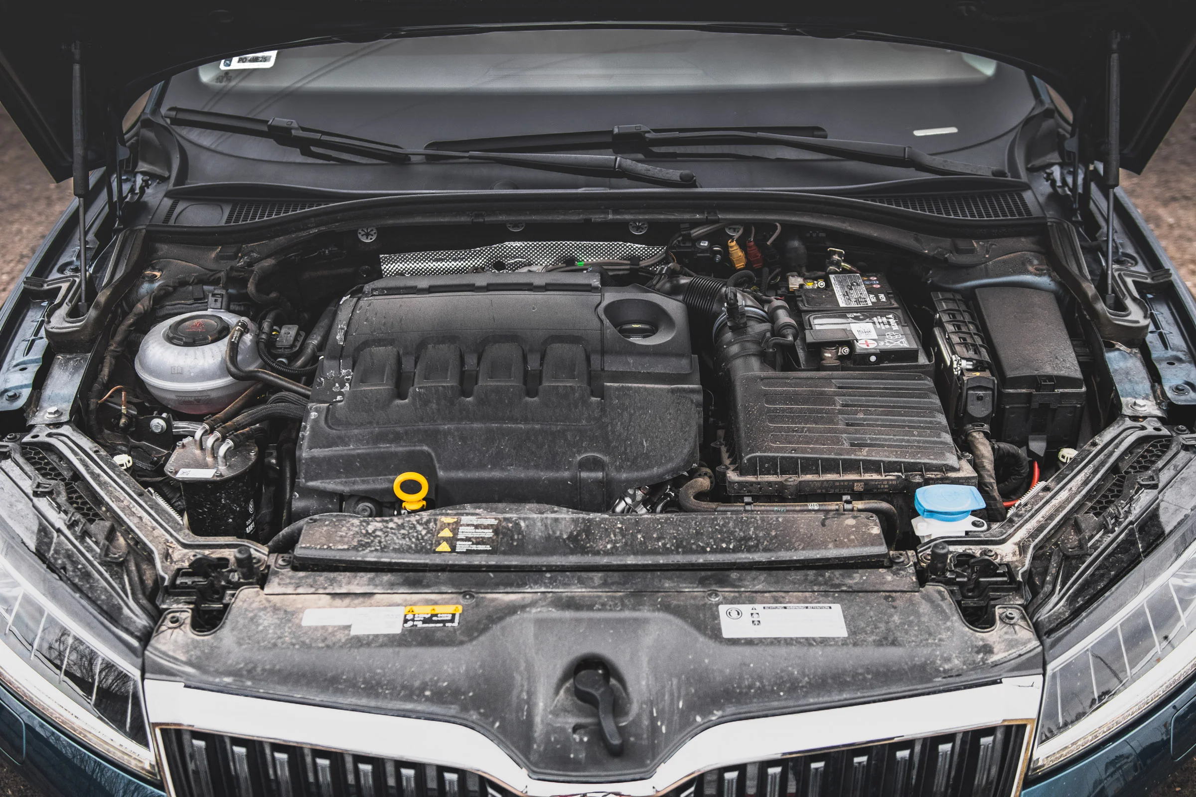 Skoda Superb 4x4 scout test 2020 