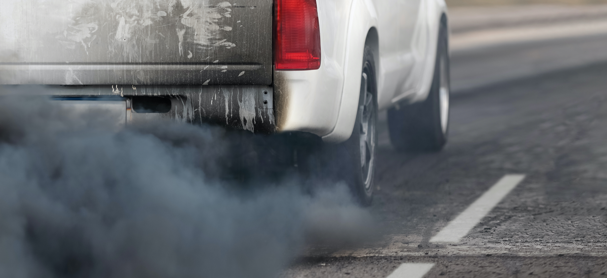 wycinanie dpf kary usa 