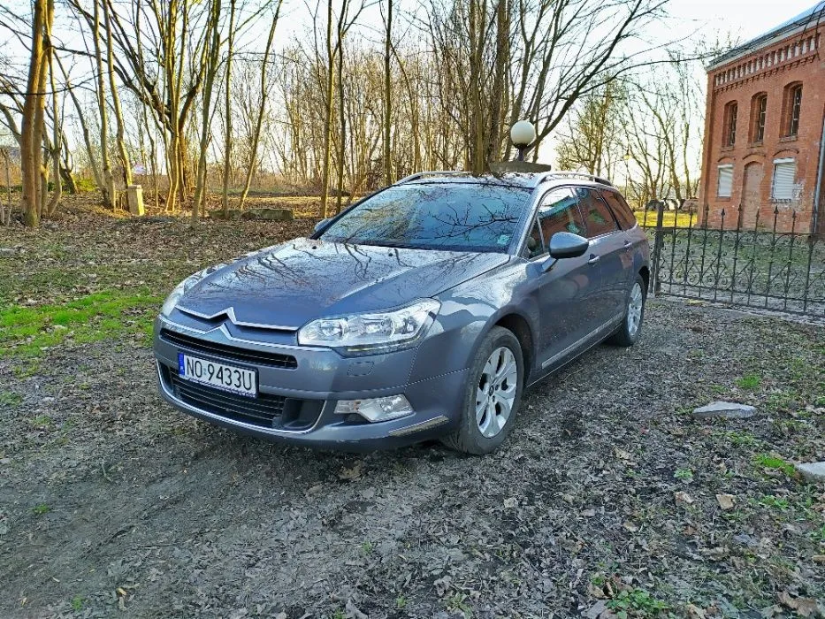 czy wolno kupić samochód