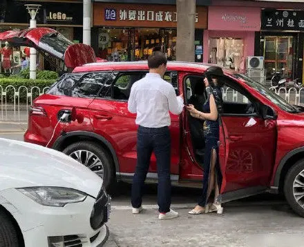 motoblender Tesla BYD