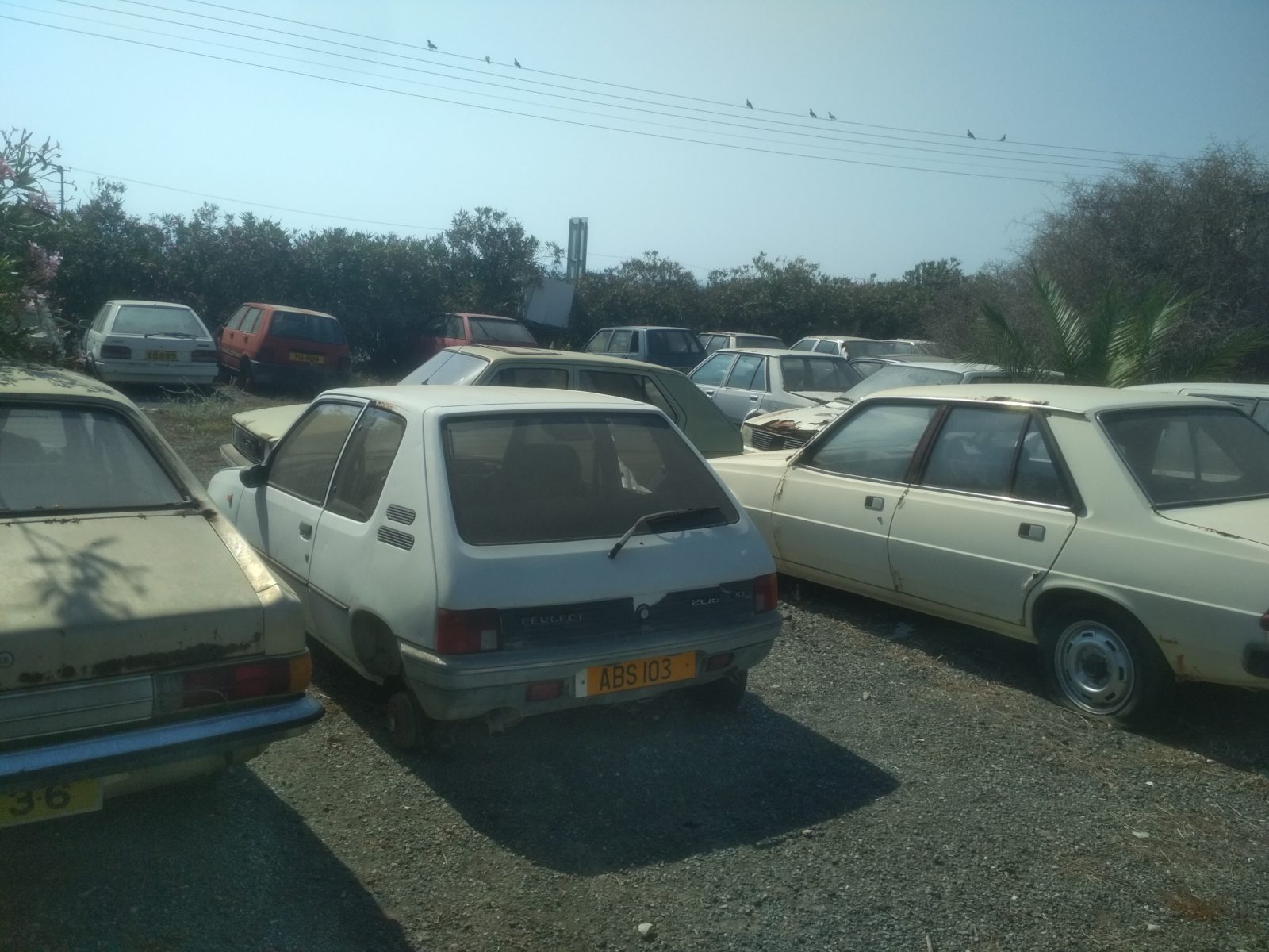 peugeot 205 